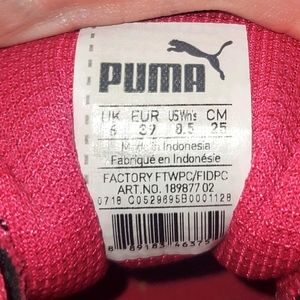 Pumas